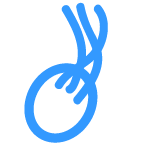 icone Varicocele